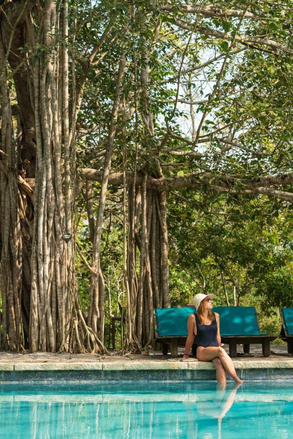 Kaav Safari Lodge, Kabini Begūr Zewnętrze zdjęcie