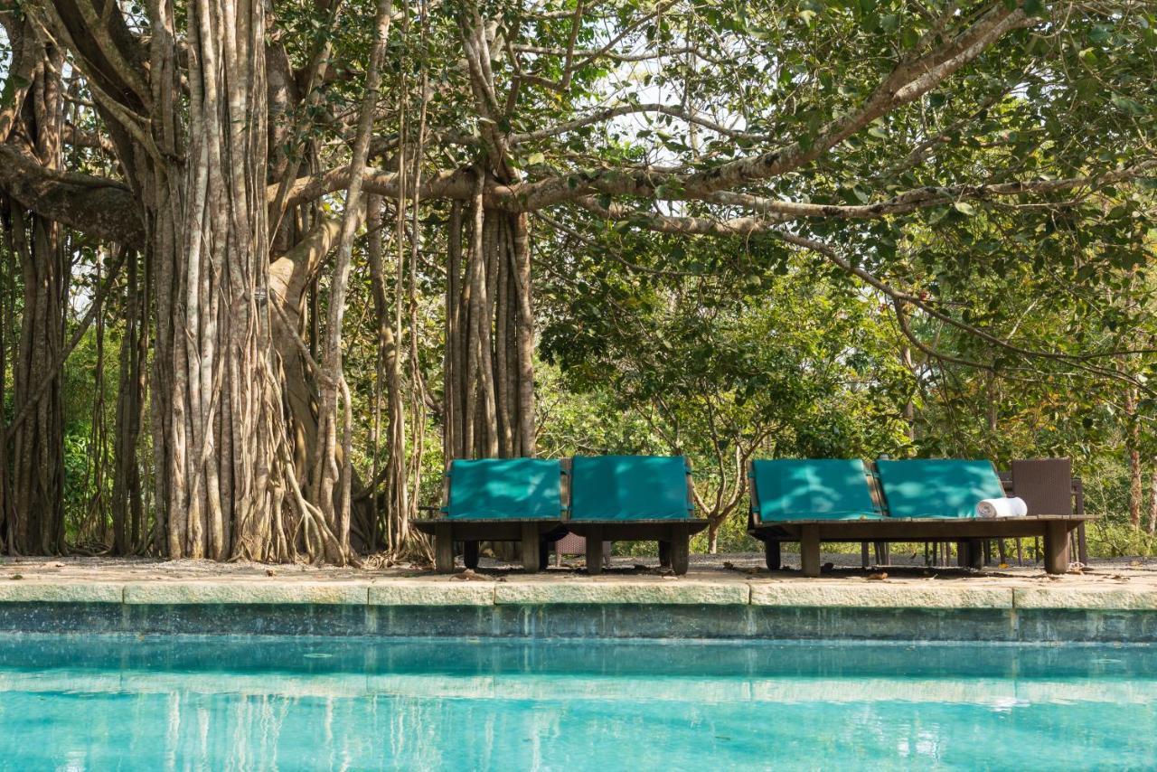 Kaav Safari Lodge, Kabini Begūr Zewnętrze zdjęcie