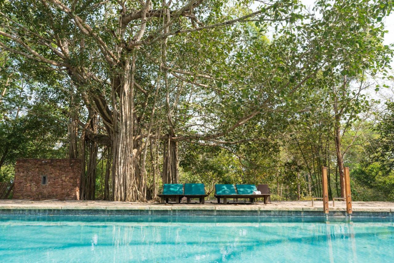 Kaav Safari Lodge, Kabini Begūr Zewnętrze zdjęcie