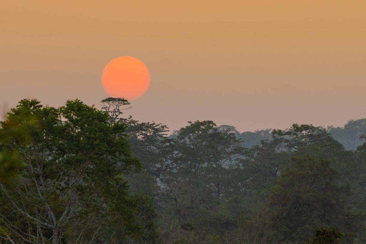 Kaav Safari Lodge, Kabini Begūr Zewnętrze zdjęcie